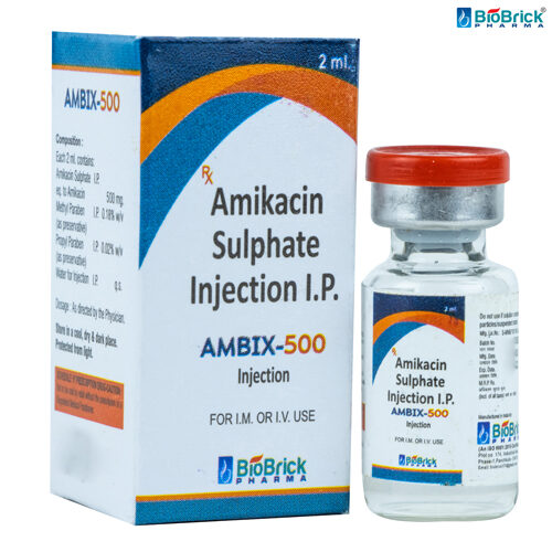 AMBIX 500