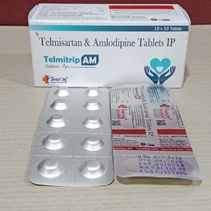 Telmitrip AM (1)